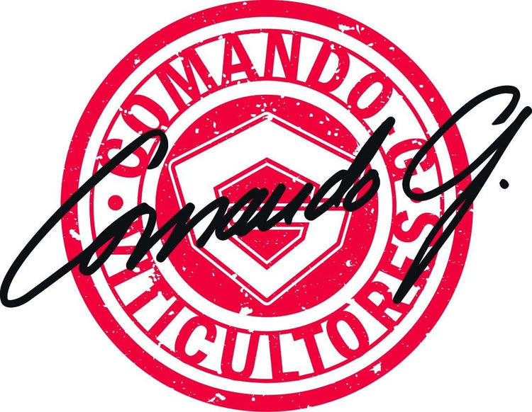 Logo of Comando G Spanish wine producer