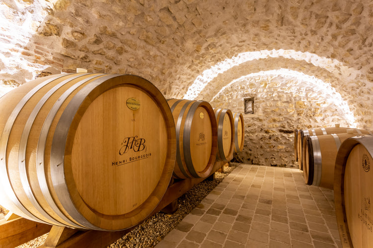 Wine cellar at Domaine Henri Bourgeois