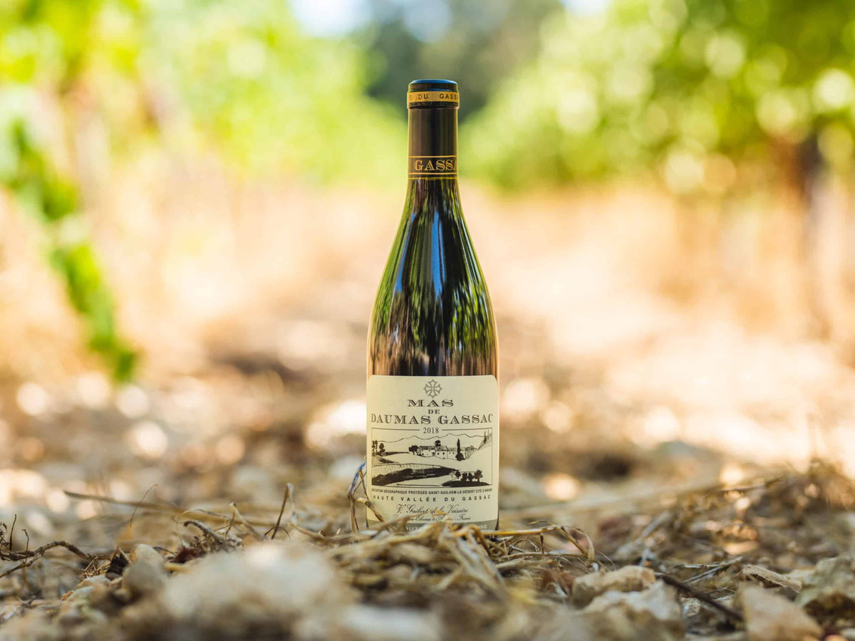Wine bottle of Mas the Daumas Gassac available at Blenheim Vintners