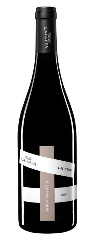 Caiaffa Nero di Troia