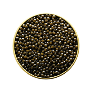 Royal Oscietra Caviar